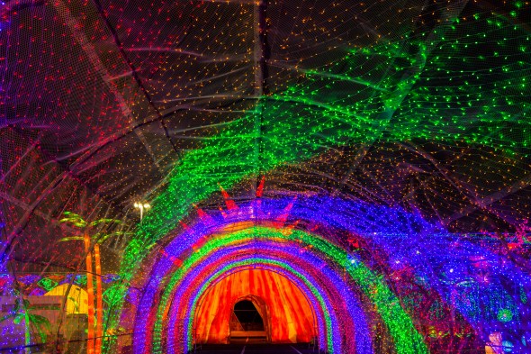 HelloPandaFest_Preview-0020